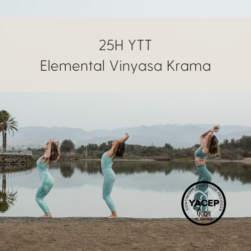 25H YTT - Formación Elemental Vinyasa Krama Yoga